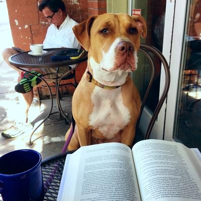 Joe Piaskowy, photo 2