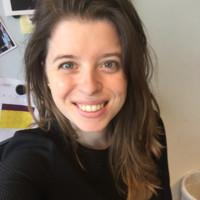 Merienke Zwaan, photo 1