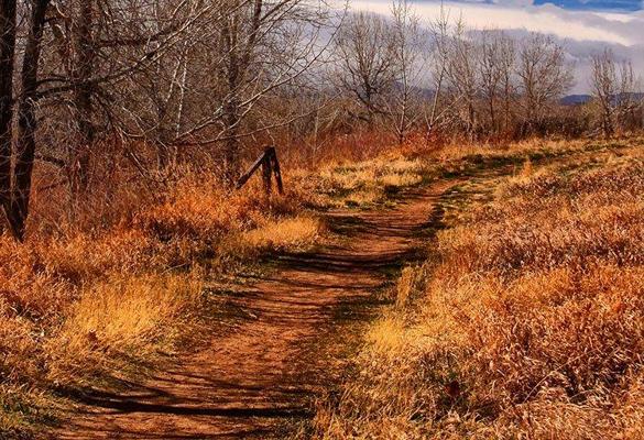 Raymond DiPerna, photo 1