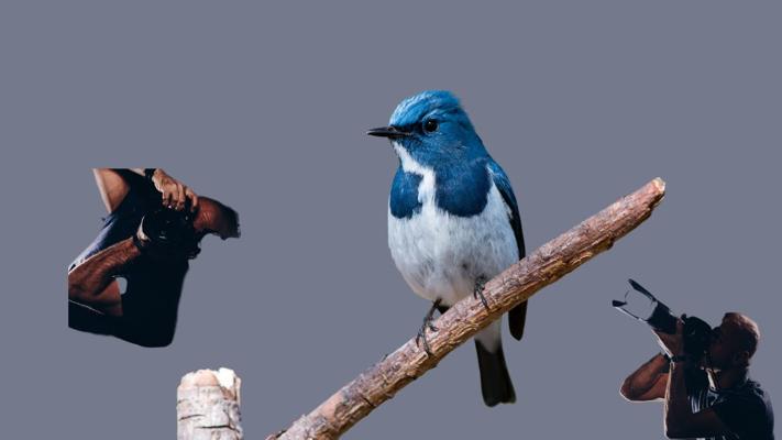 Igor Nikitin, photo 1