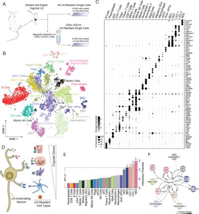 David Strochlic, photo 2