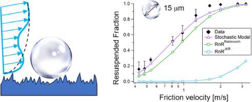 Ronen Berkovich, photo 1