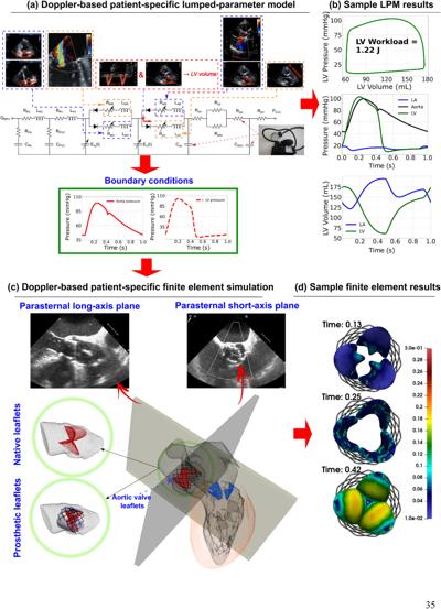 Tavi Nathanson, photo 2