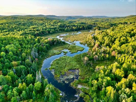 Alan Hogarth, photo 1