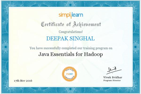 Deepal Singhal, photo 1