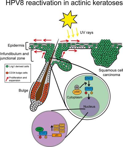 Girish Ananthan, photo 2