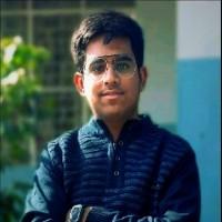 Hemank Narula, photo 2