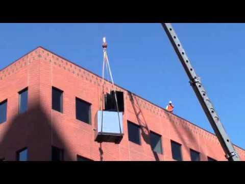 John Palizzi, photo 1