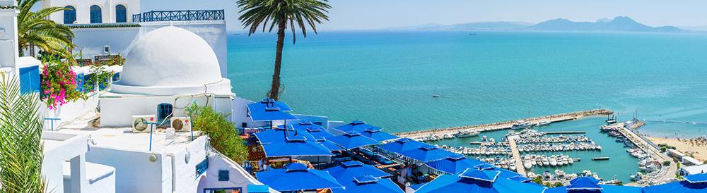 Danilo Martins, photo 1