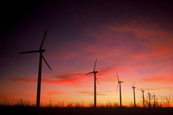 Emmy Sobieski, photo 2