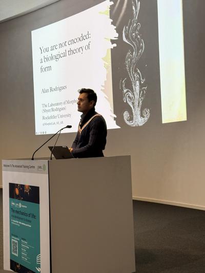 Alan Rodrigues, photo 2