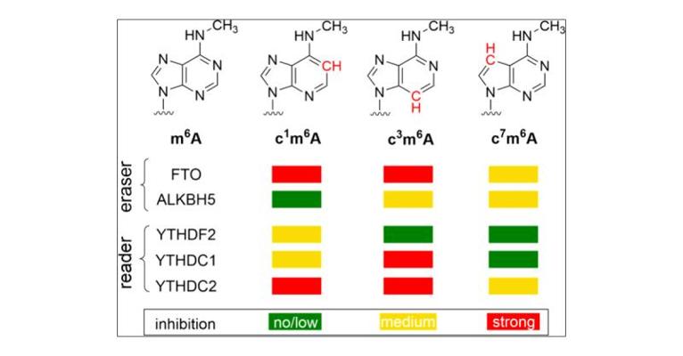 Aaron Siewert, photo 2