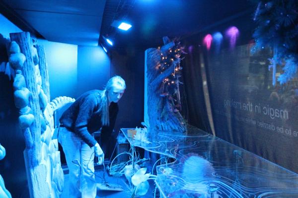 Manu Sawkar, photo 2