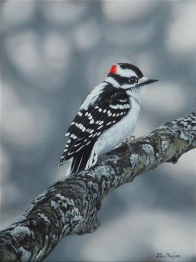 Roxani Ouivari, photo 2