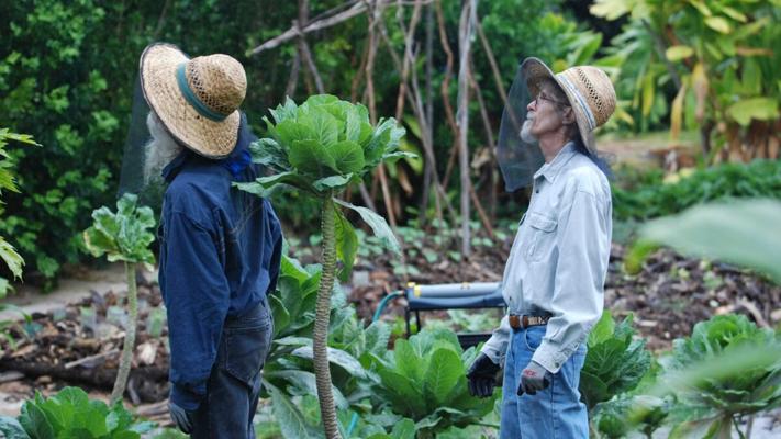 Gwen Tobert, photo 2