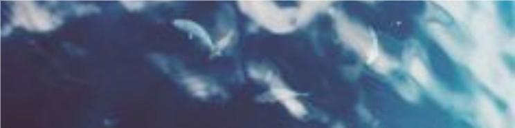 Raghav Bhola, photo 2