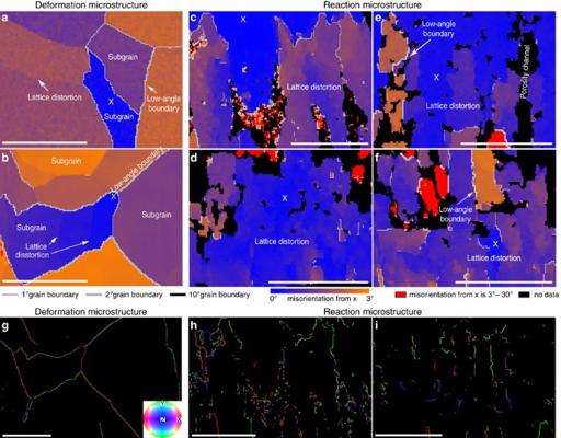 Liene Spruzeniece, photo 2