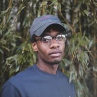 Jan Dienstl, photo 2