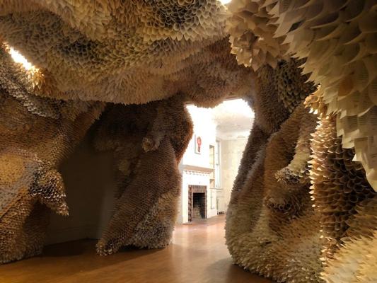 Antony Zito, photo 1