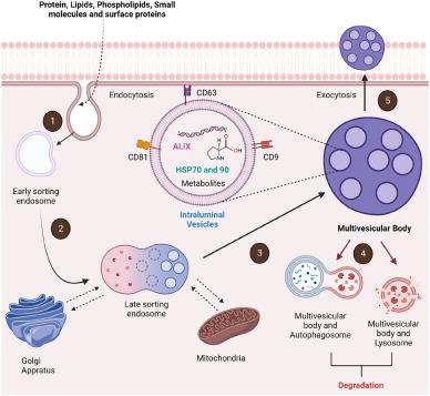 Kimberly Blott, photo 2