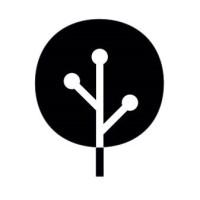 Alain Dijkstra, photo 2