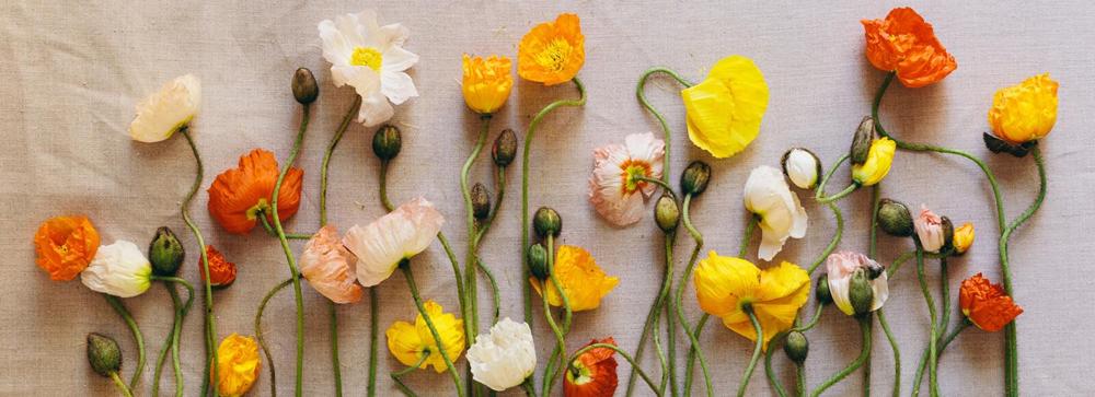 Jillian Mandell, photo 1