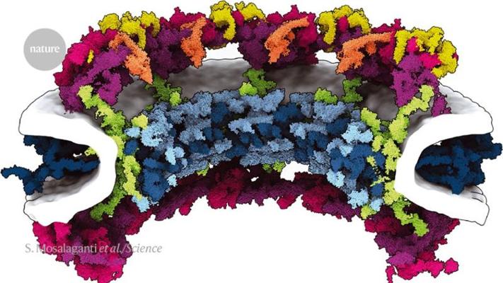 Tilak Gupta, photo 2