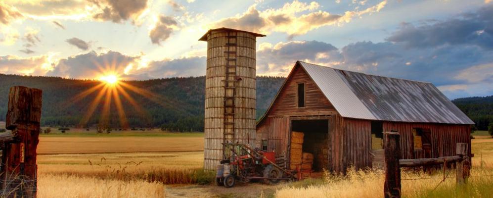 Amber Khoury, photo 2