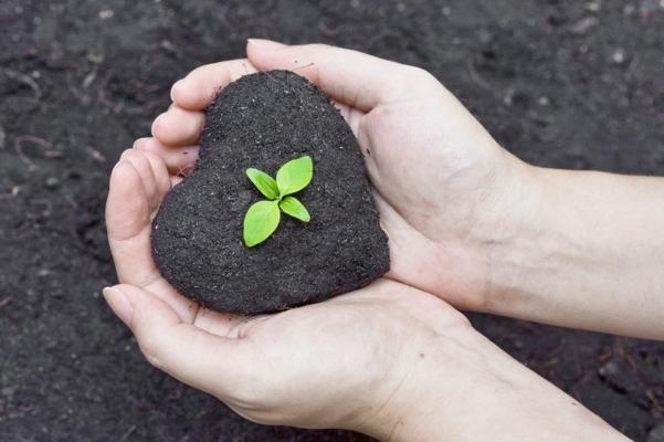 Paul J Arambul Jr., photo 1