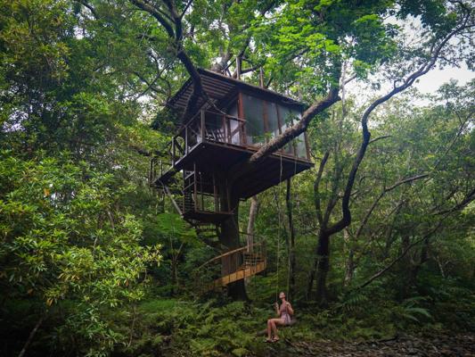 Tom Verveer, photo 1