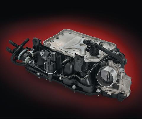 Mark Minnichelli, photo 1