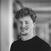 Bas Veerman, photo 2