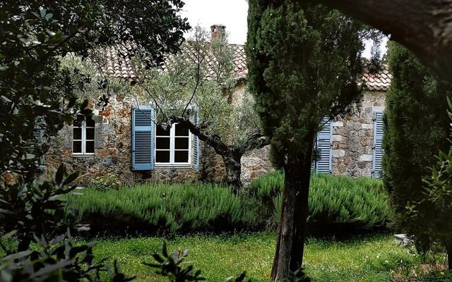 Patrik Fejda, photo 2