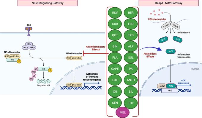 Jamie Denecker, photo 2