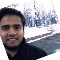 Avinash Bhatheja, photo 2