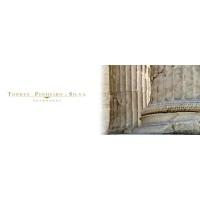 Thiago Pinheiro, photo 2