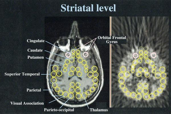 CJ Hordynski, photo 1