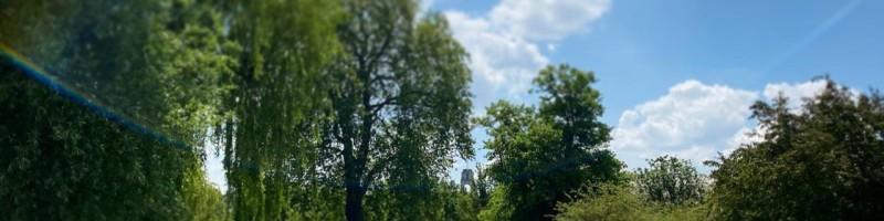 Julia Mitelman, photo 2