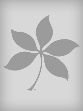 Susan Wolfinbarger, photo 2