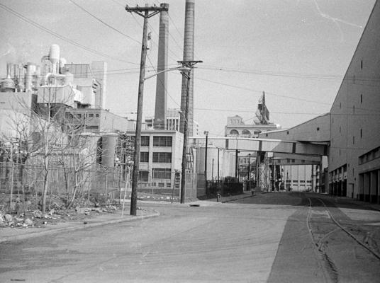 Peter Overy, photo 1