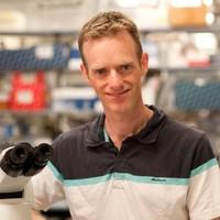 Philip Gregory, photo 1