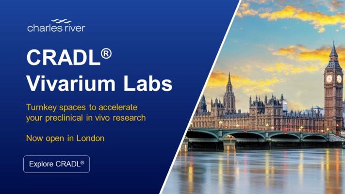 Richard Huijbregts, photo 1