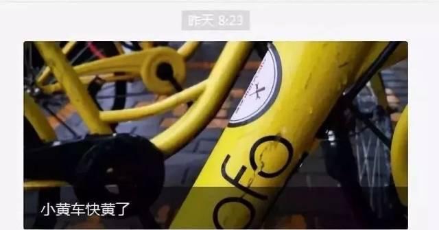 Yanqi Zhang, photo 2