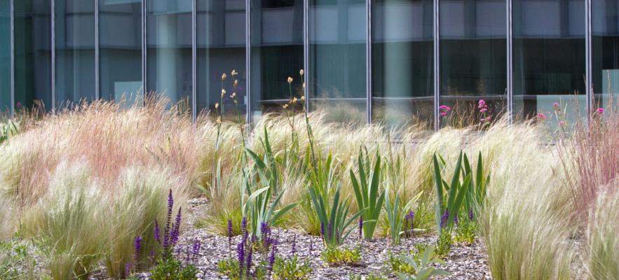 Arusha Fruythof, photo 1