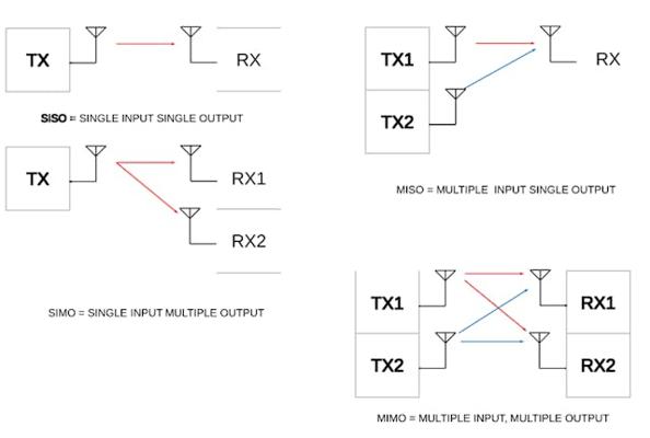 Brian Petted, photo 2