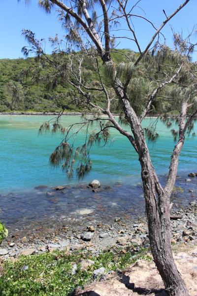 Luke Timbrell, photo 2