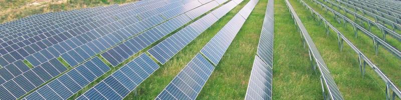 Alexis Rehbinder, photo 1