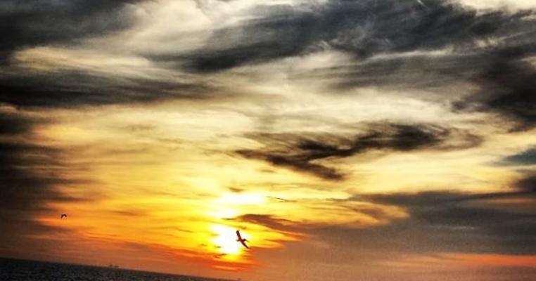 Vimarsh Karbhari, photo 1