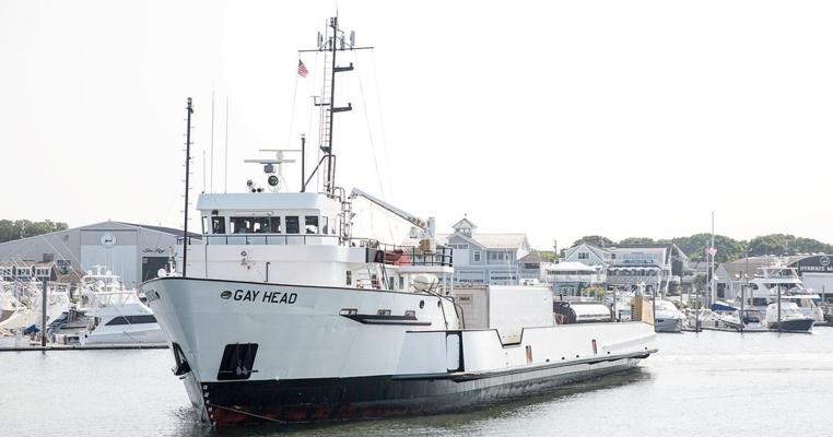 Ferry Satria, photo 2