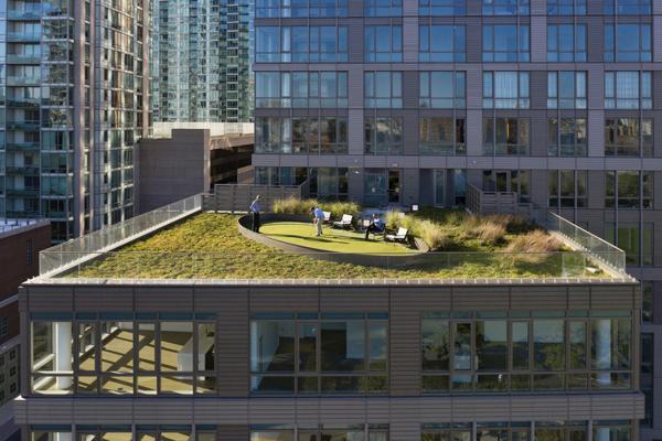 Christopher Toto, photo 2